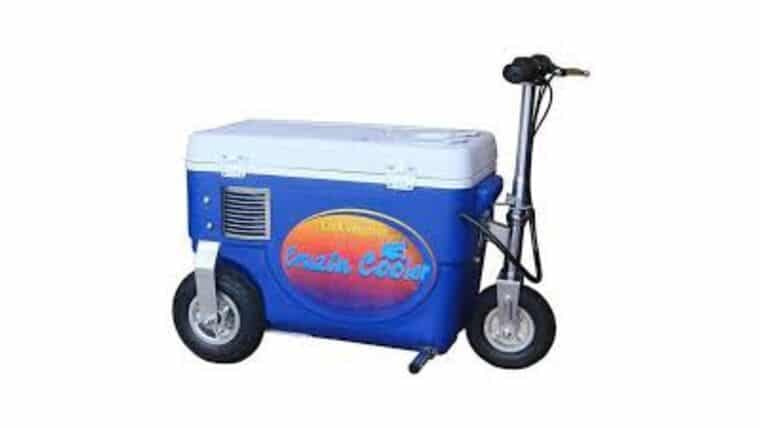 Crusin Cooler 33cc 2-stroke Motor | Rental