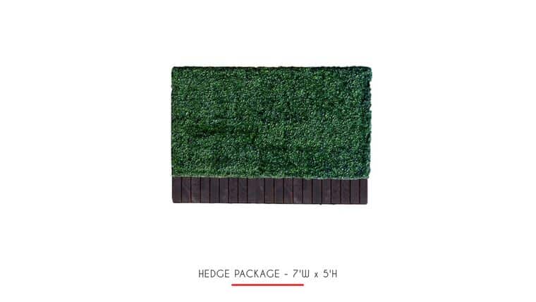 3’h x 5’w Boxwood Hedge | Rental
