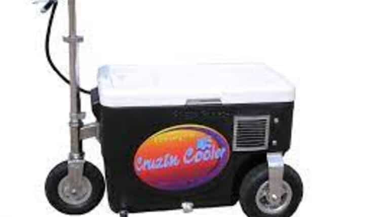 Cruisin Cooler 300 Watt Electric | Rental