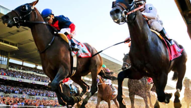 Virtual Horse Racing Game Event | Rental Virtual Horse Racing Game Event | Rental