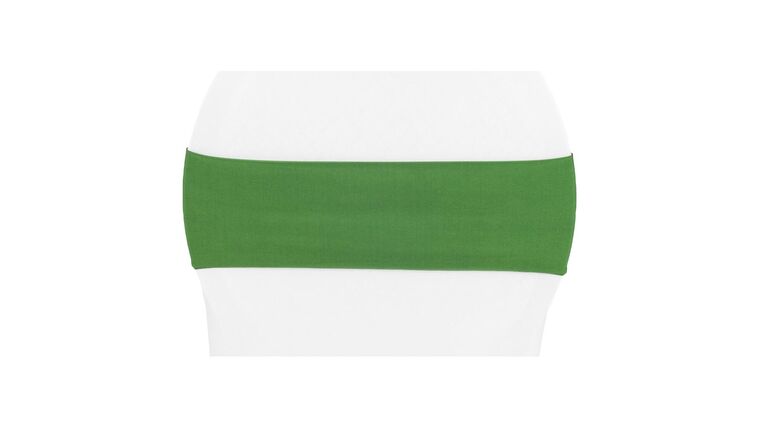 Spandex Chair Band – Willow Green | Rental