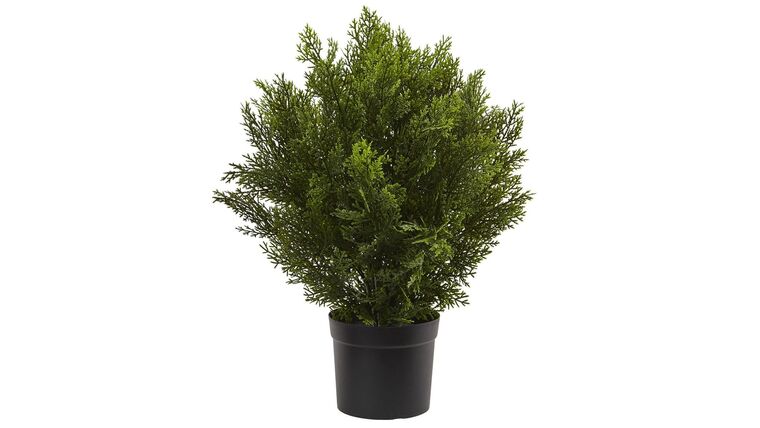 2’ Artificial Cedar Bush (Indoor/Outdoor) | Rental