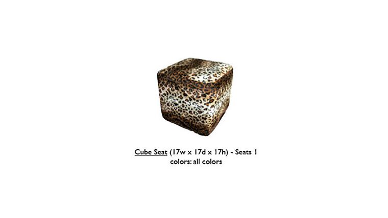 Cube Seat – Leopard | Rental Cube Seat – Leopard | Rental