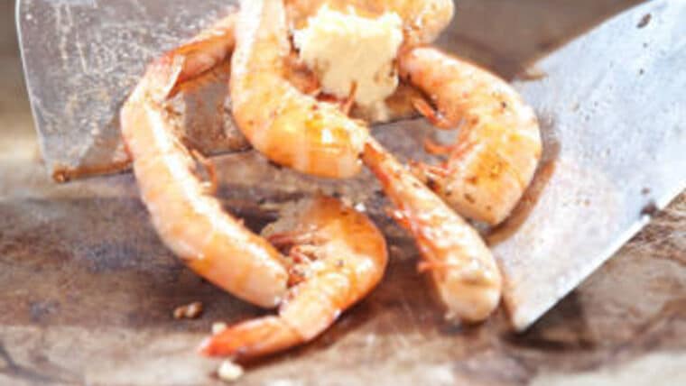 Filet Mignon & Shrimp | Rental