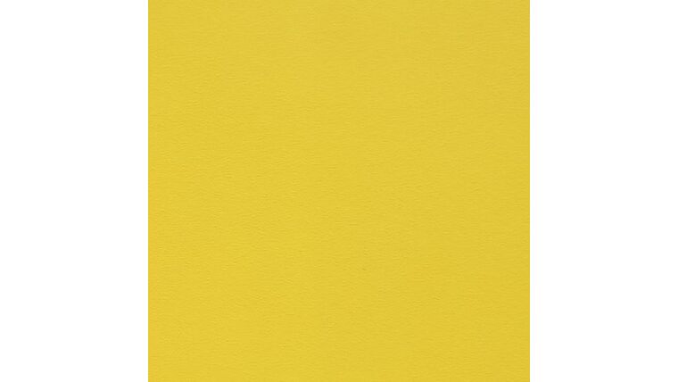 Vinyl Pro Floor – Lemon | Rental