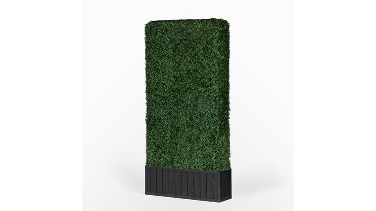 6’h x 4’w Boxwood Hedge With Planter | Rental