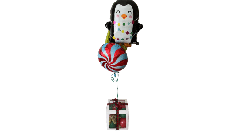 Will Call – Elf On The Shelf Balloon (Includes New Book & Elf) | Rental