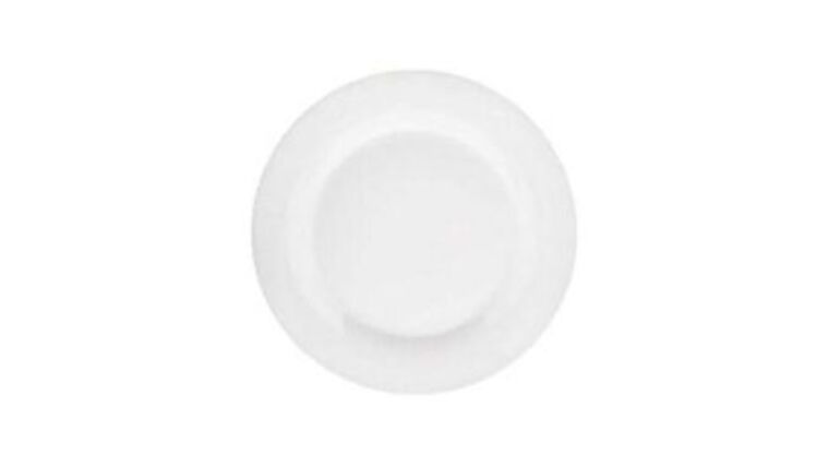 Alaska Bright White Round Wide Rim Rolled Edge China Dinner Plate – 9″ | Rental
