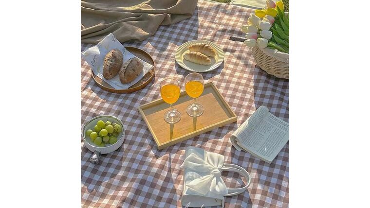Picnic Blanket Beach Blankets, 80”x60” Picnic Mat Waterproof Sand Proof Foldable Portable for Outdoor Camping Hiking Travel Grass Park Music Festival Lawn Mats (Brown) | Rental