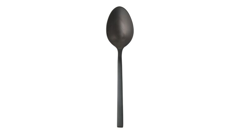 Arezzo Brushed Black Serving Spoon | Rental