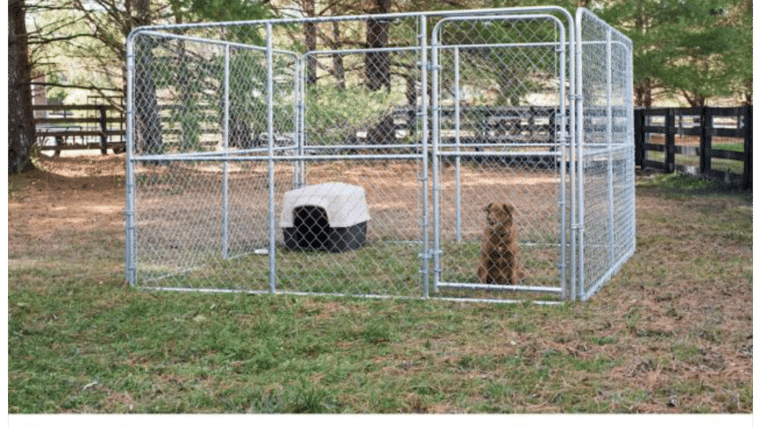 10′ x 10′ Silver Chain Link Dog Kennel w/Access Door | Rental