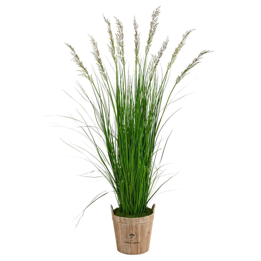6’ Grass Artificial Plant in Farmhouse Planter | Rental