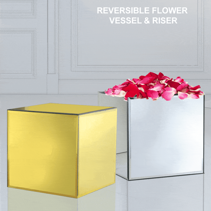 Reversible Mirror Glass Cube Aquarium and Riser | Rental Reversible Mirror Glass Cube Aquarium and Riser | Rental