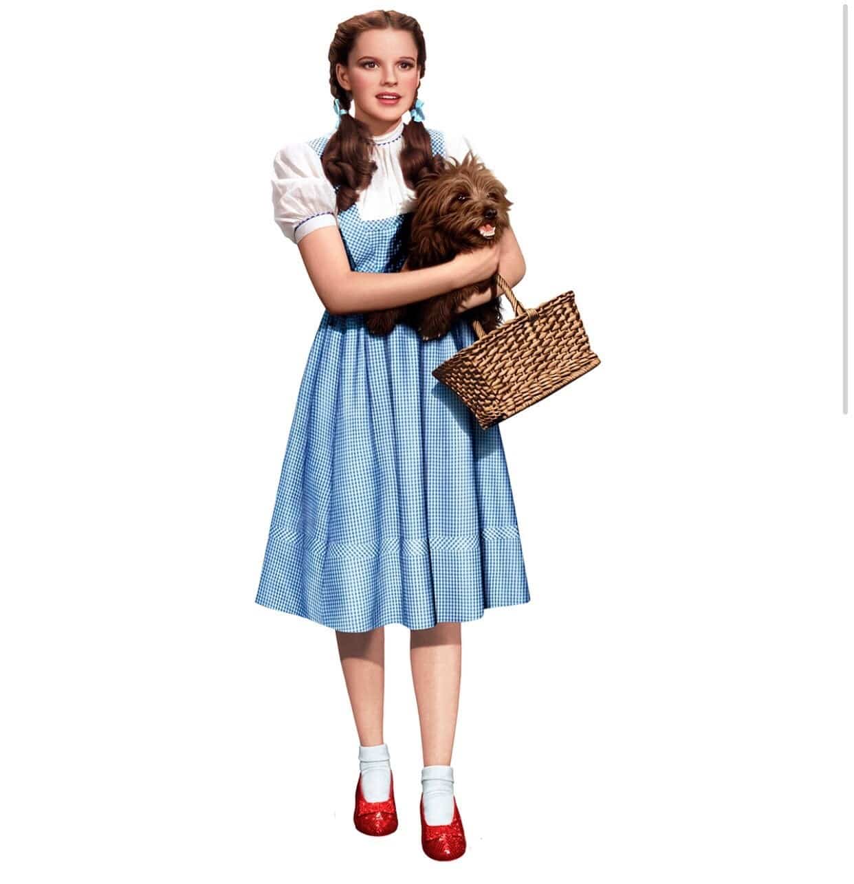 Dorthy Wood Cut Out Standee | Rental Dorthy Wood Cut Out Standee | Rental