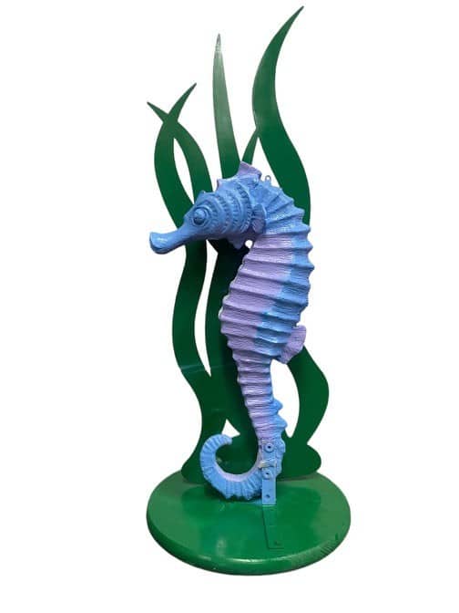 Seahorse | Rental Seahorse | Rental