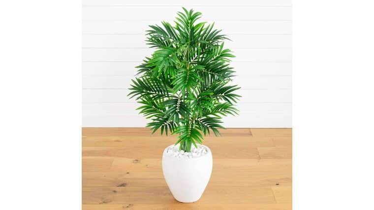 4’ Areca Artificial Palm Tree in White Planter | Rental