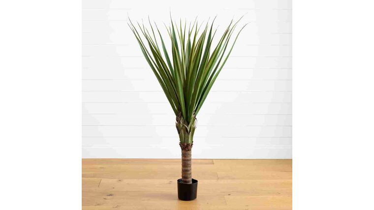 5′ Spiked Agave Tree | Rental