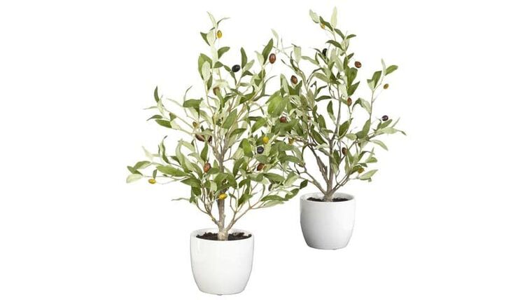 18″ Olive Silk Tree w/Vase (Set of 2)” | Rental