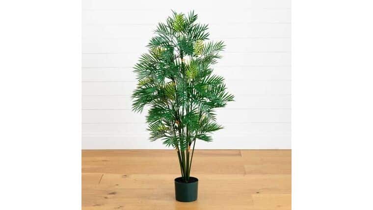 4′ Artificial Parlour Palm Tree | Rental