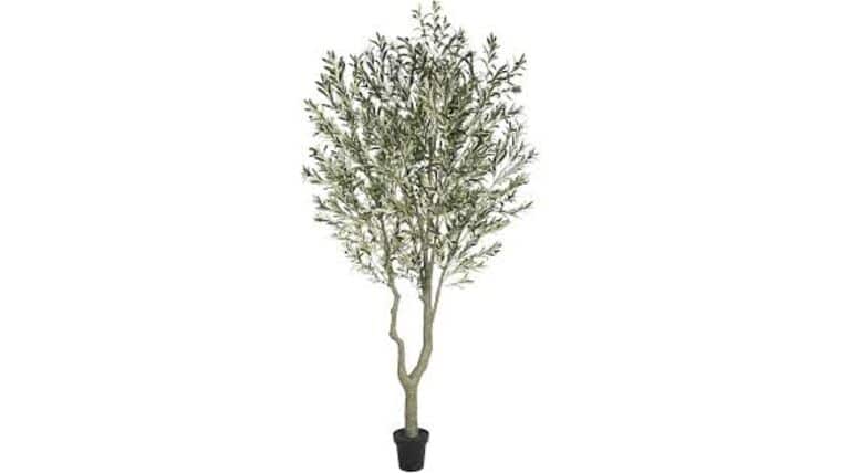 10’ Artificial Olive Tree | Rental