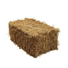 Hay Bail (Real) | Rental Hay Bail (Real) | Rental