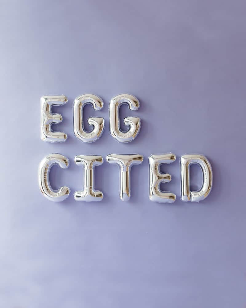 16in Silver EGGCITED Foil Letters Set | Purchase