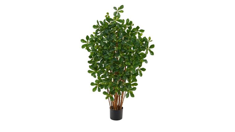 3.5’ Black Olive Artificial Tree | Rental