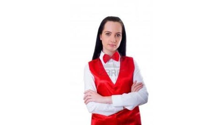 Craps Casino Dealer | Rental