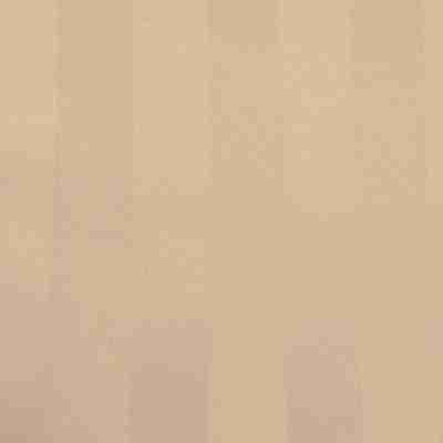 Poly Stripe Banquet Chair Cover | Cafe | Rental